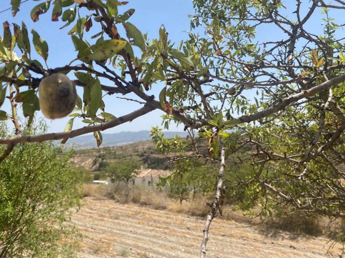 Image No.6-3 Bed Property for sale