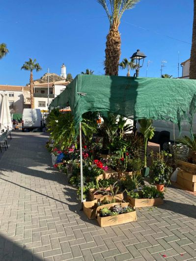 Image No.34-6 Bed Property for sale