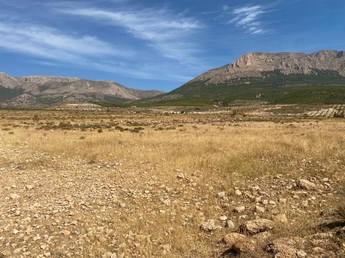 Image No.3-Property for sale