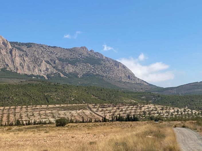 Image No.7-Property for sale