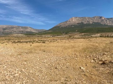 property152166885