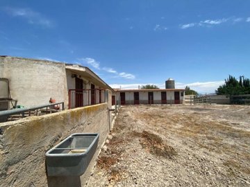 1 - Lorca, Finca