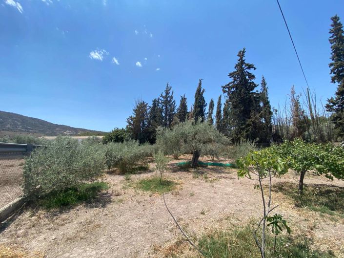 Image No.4-2 Bed Finca for sale