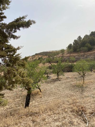 Image No.8-Property for sale