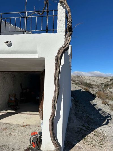 Image No.34-7 Bed Finca for sale