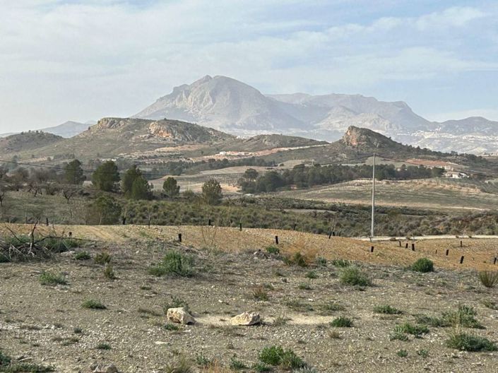 Image No.19-3 Bed Finca for sale