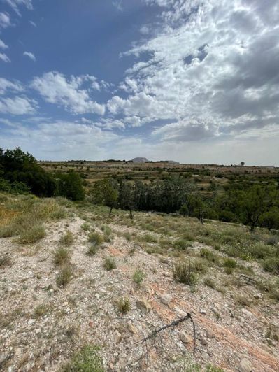 Image No.12-Property for sale