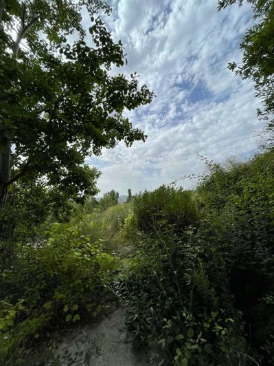 Image No.13-Property for sale