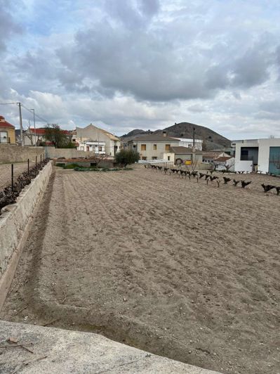 Image No.3-7 Bed Finca for sale