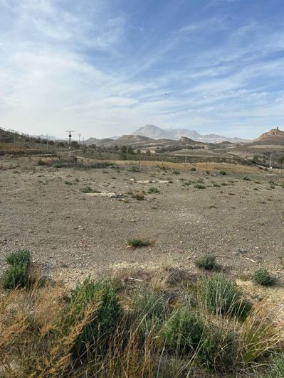 Image No.22-3 Bed Finca for sale