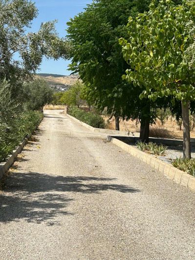 Image No.5-3 Bed Chalet for sale