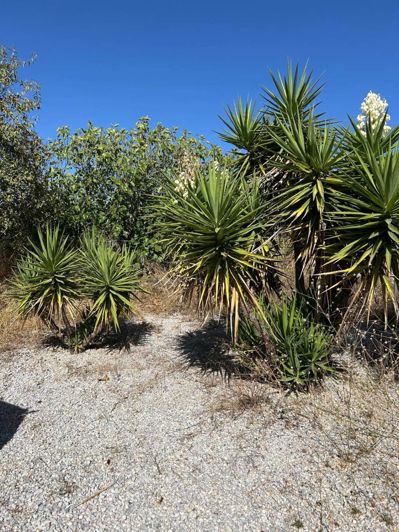 Image No.44-2 Bed Villa for sale