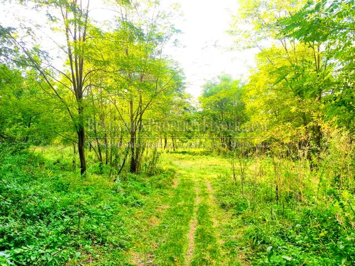 Image No.4-Land for sale