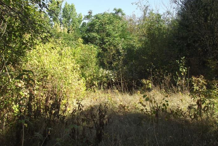 Image No.10-2 Bed Country House for sale