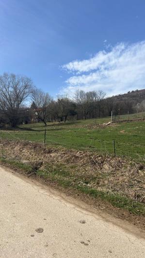 Image No.5-4 Bed Country House for sale