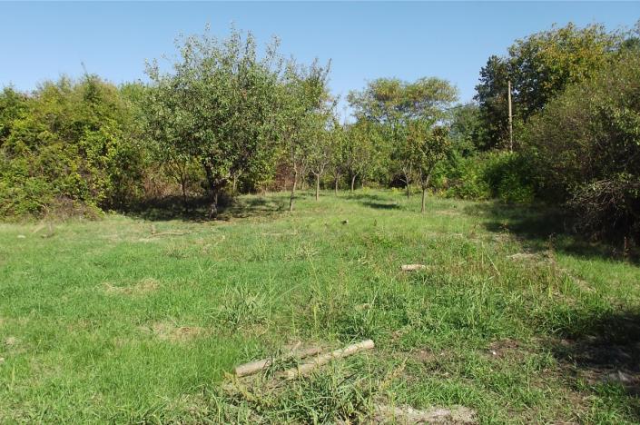 Image No.9-2 Bed Country House for sale