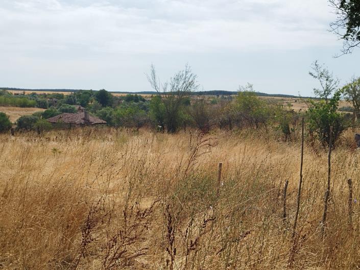 Image No.8-3 Bed Country House for sale