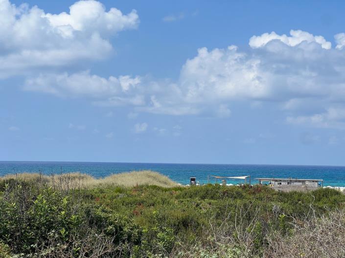 Image No.3-1 Bed Apartment for sale