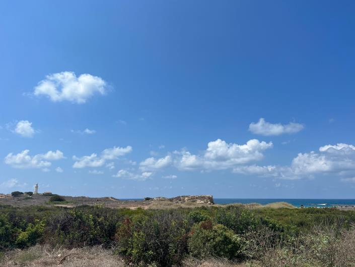 Image No.4-1 Bed Apartment for sale