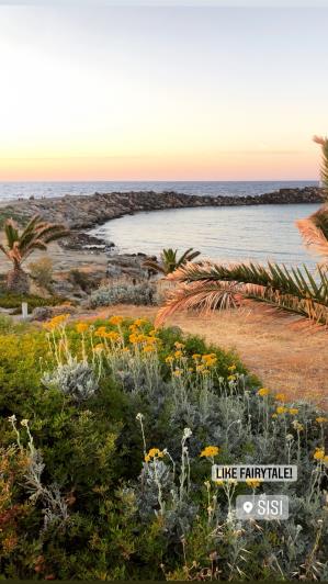 Image No.24-Hotel for sale