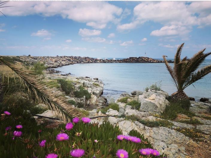 Image No.21-Hotel for sale