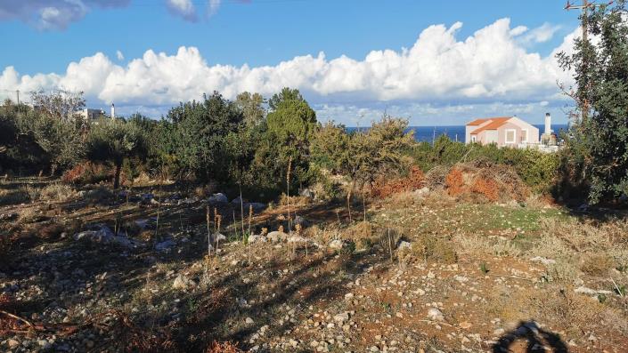 Image No.2-Land for sale