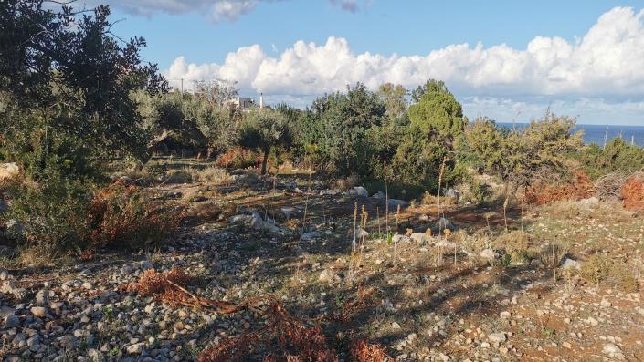 Image No.3-floorplan-3