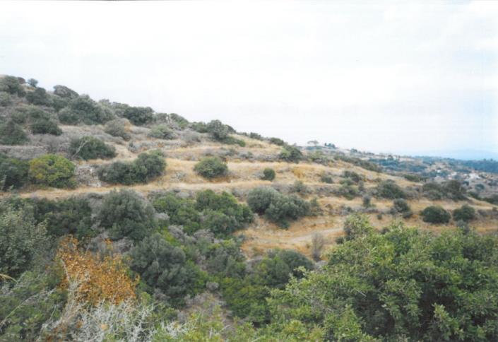 Image No.3-Land for sale