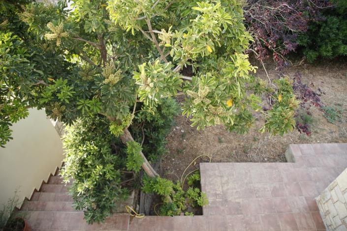 Image No.26-4 Bed House/Villa for sale