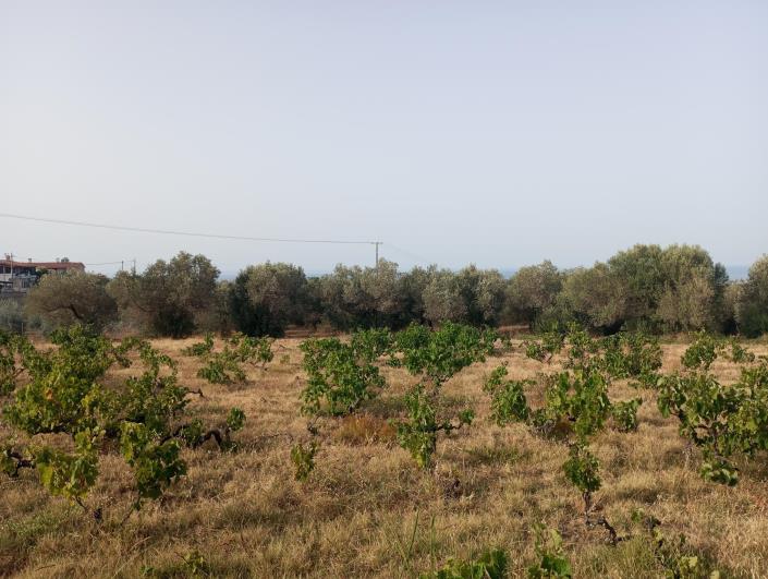 Image No.2-Land for sale