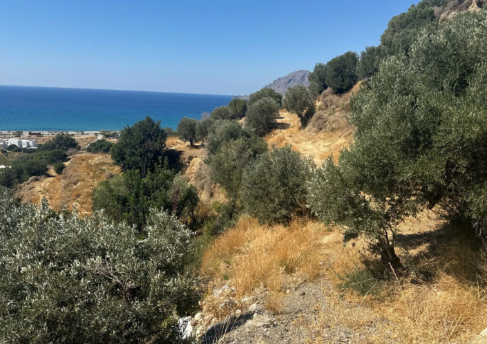 Image No.4-Plot for sale