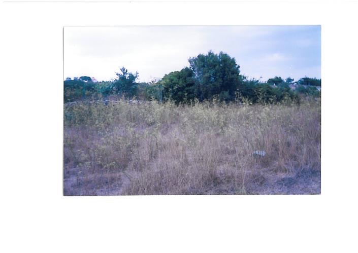 Image No.2-Plot for sale