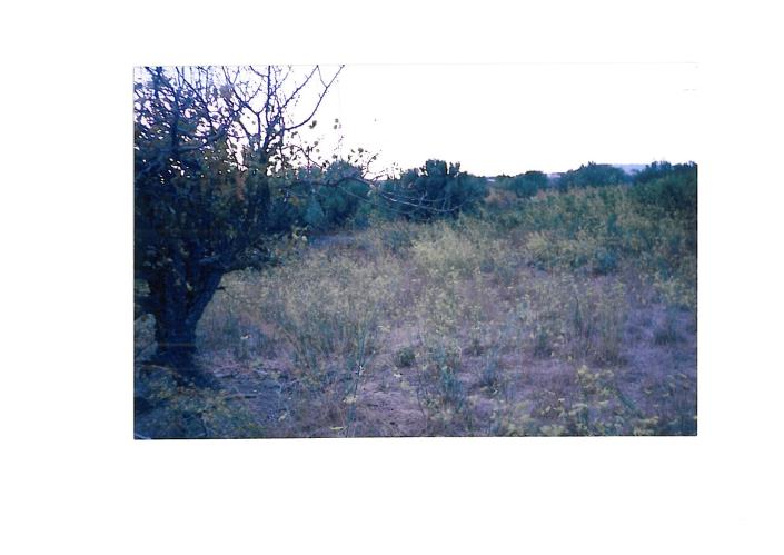 Image No.1-Plot for sale