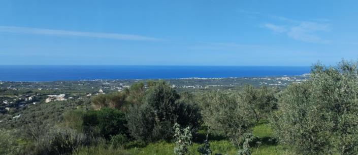 Image No.11-3 Bed Villa for sale