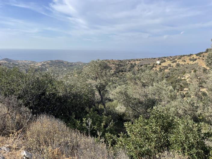 Image No.2-Plot for sale