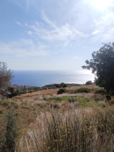 Image No.3-Plot for sale