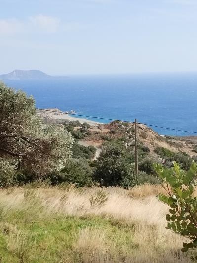 Image No.9-Plot for sale