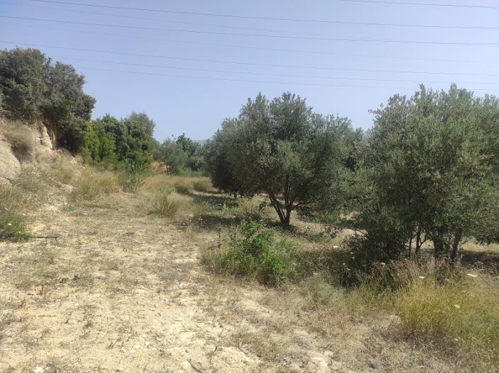 Image No.11-Plot for sale