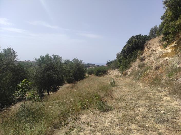 Image No.12-Plot for sale