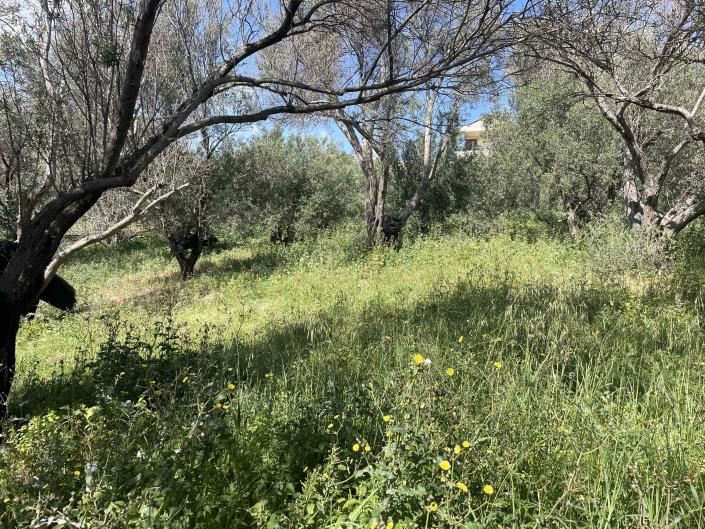 Image No.5-Plot for sale