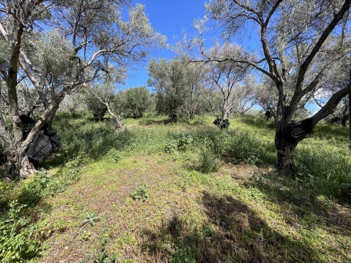 Image No.8-Plot for sale