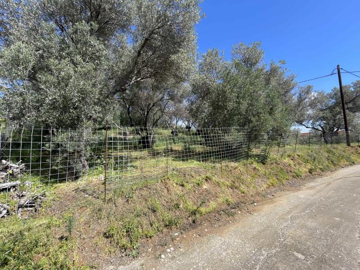 Image No.11-Plot for sale