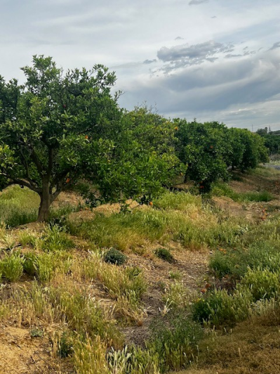 Image No.21-4 Bed Villa for sale