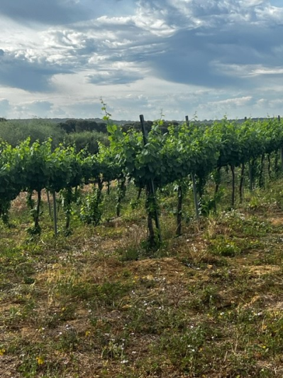 Image No.22-4 Bed Villa for sale