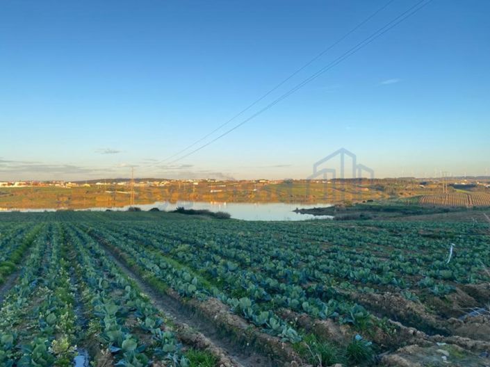 Image No.25-4 Bed House for sale