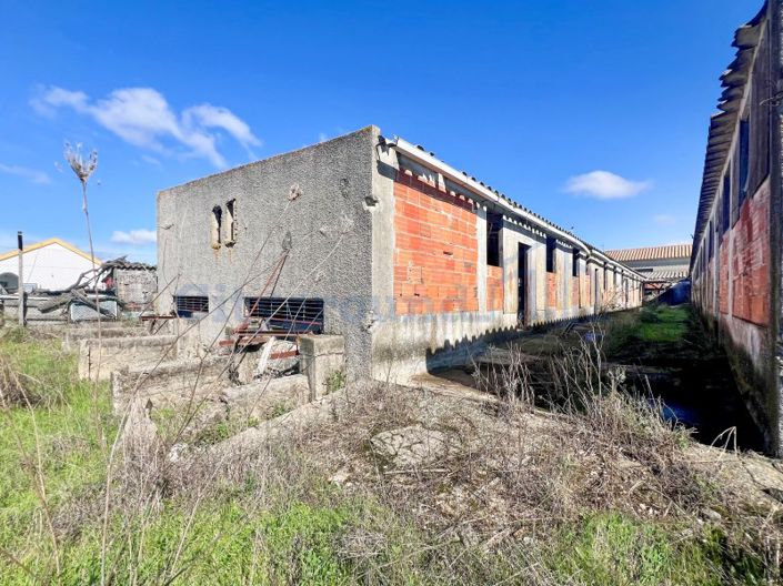 Image No.49-14 Bed Farmhouse for sale