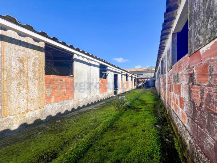 Image No.50-14 Bed Farmhouse for sale