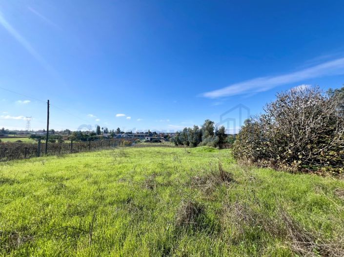 Image No.52-14 Bed Farmhouse for sale