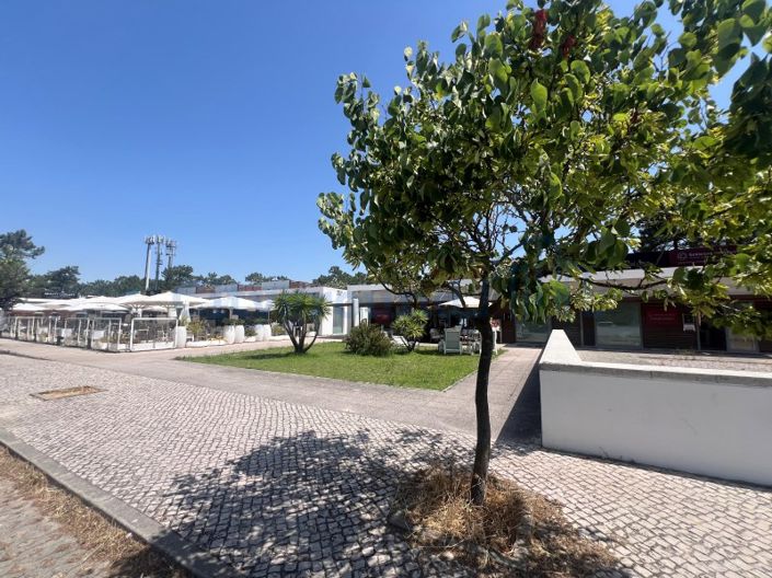 Image No.39-4 Bed House for sale