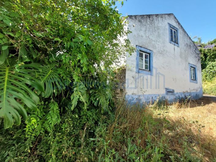 Image No.28-3 Bed House for sale